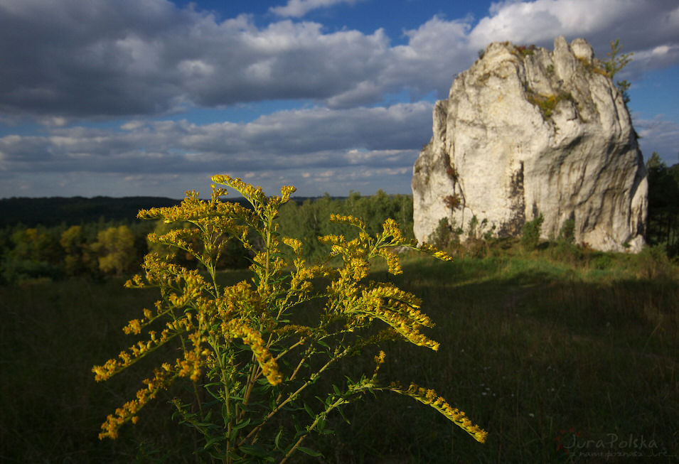 Turnia Motocyklistw, Podlesice