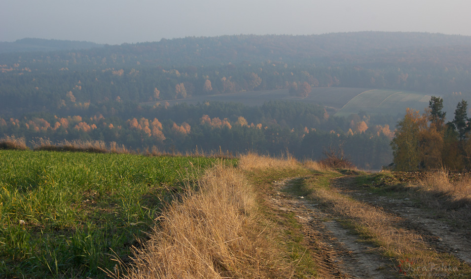 Widok na Dolin Krztyni na wysokoci Huty