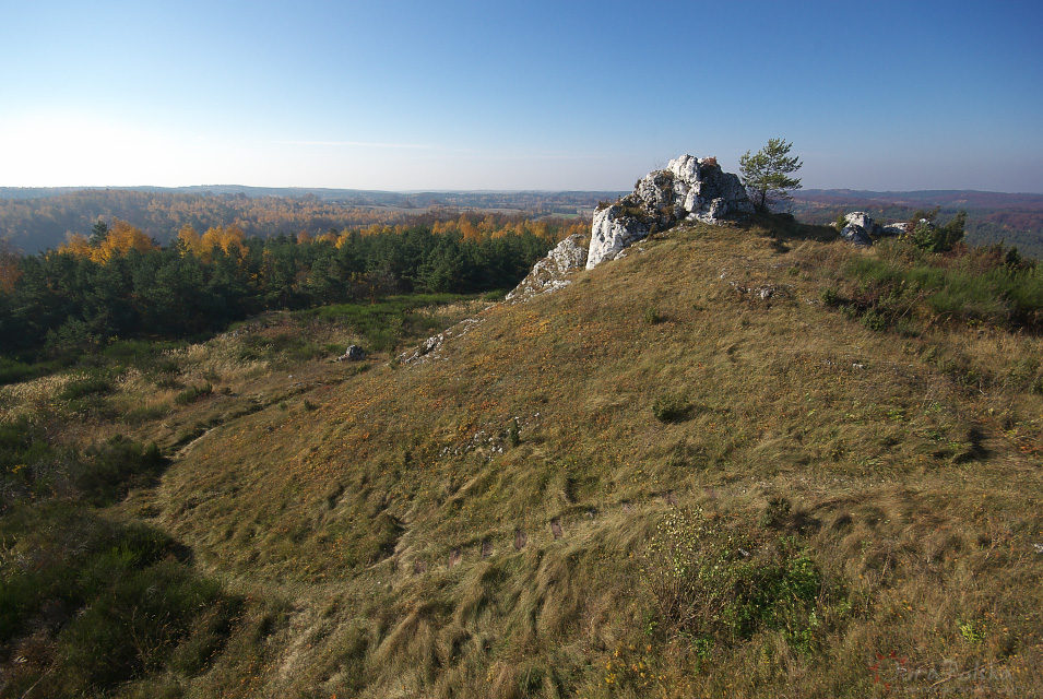 Bukowie k/Trzebniowa