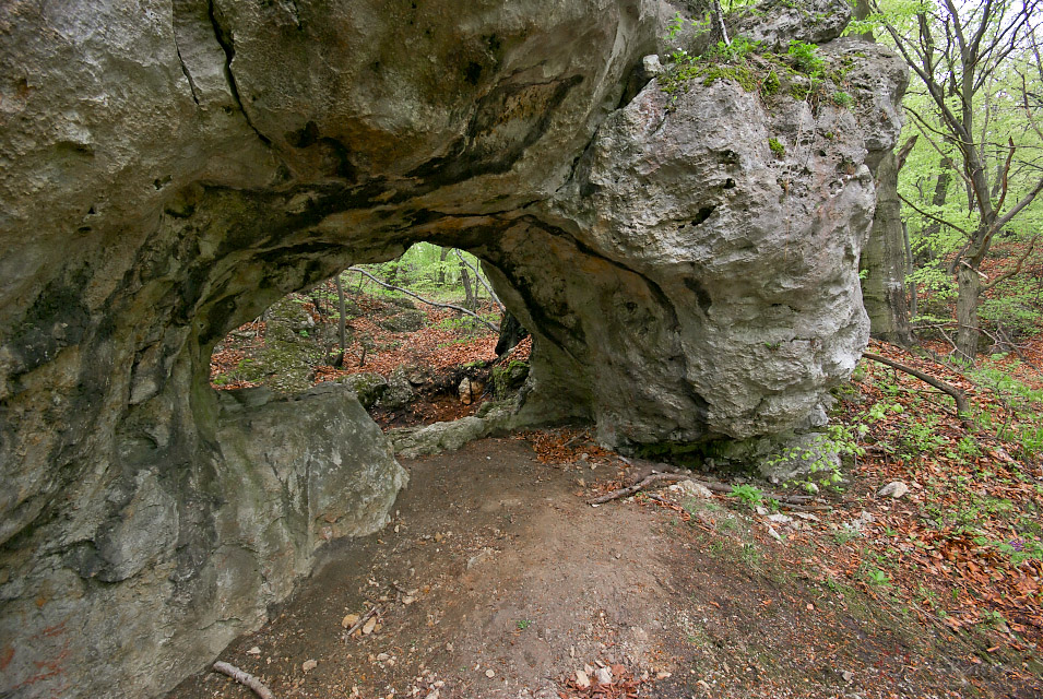 Jaskinia pod Oknem, Skaki Kroczyckie