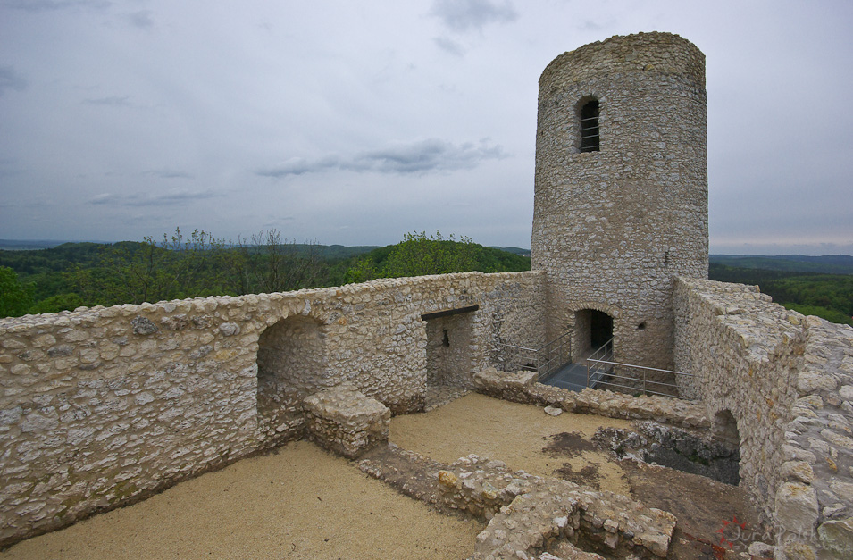 Zamek Smoleń, stan na wiosnę 2014r.