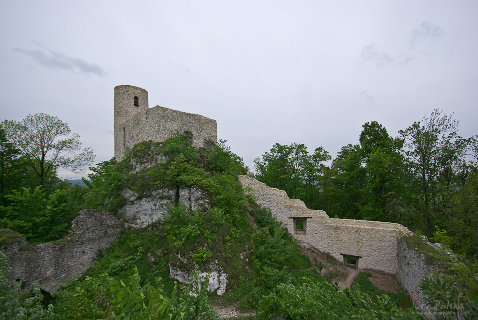 Zamek Smoleń, stan na wiosnę 2014r