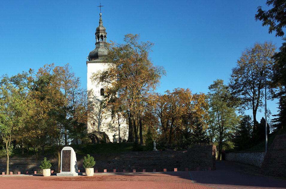 Koci i pozostaoci fortalicji Warszyckiego w Dankowie, Wyyna Wieluska