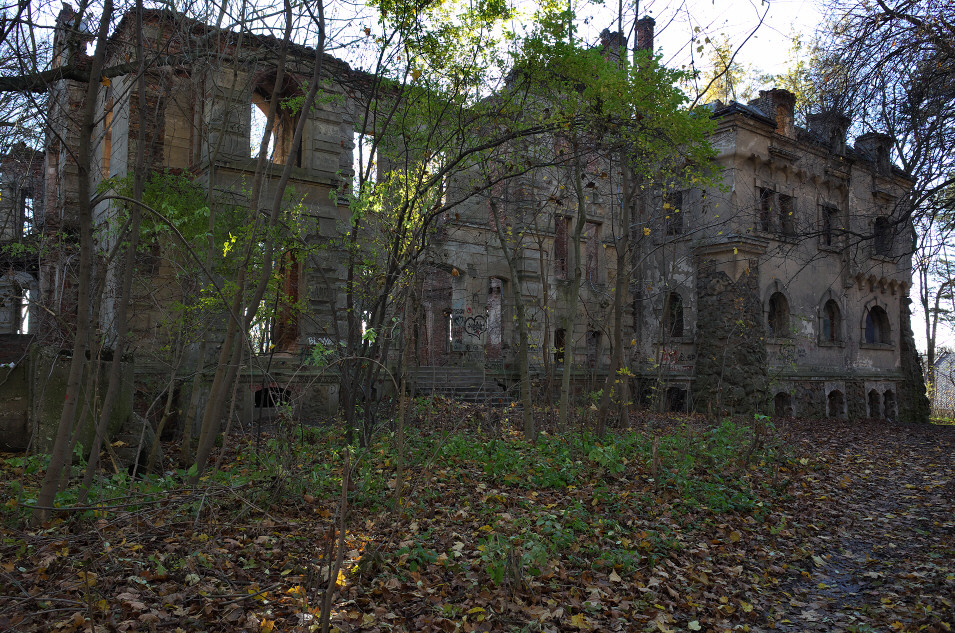 Ruiny XIXw. pałacu w Wierbce
