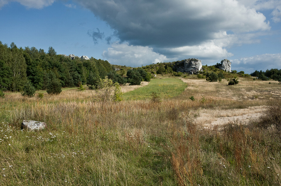 Okolice Olsztyna