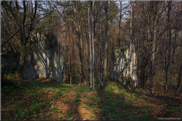 Masyw skay Gips, Skaki Morskie
