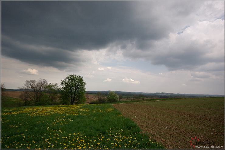 Okolice erkowic