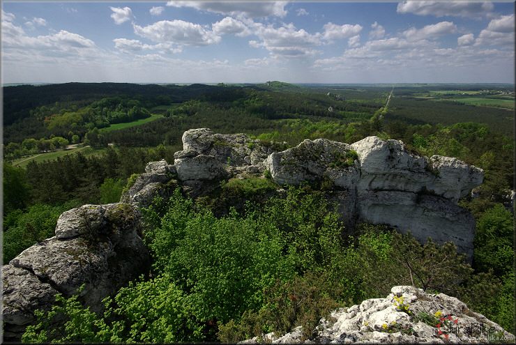 rez. Gra Zborw, Podlesice