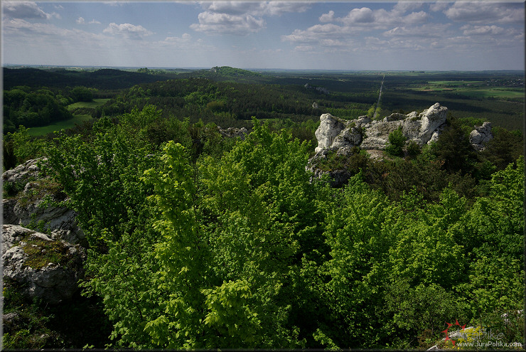 rez. Gra Zborw, Podlesice