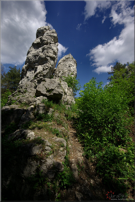 rez. Gra Zborw, Podlesice