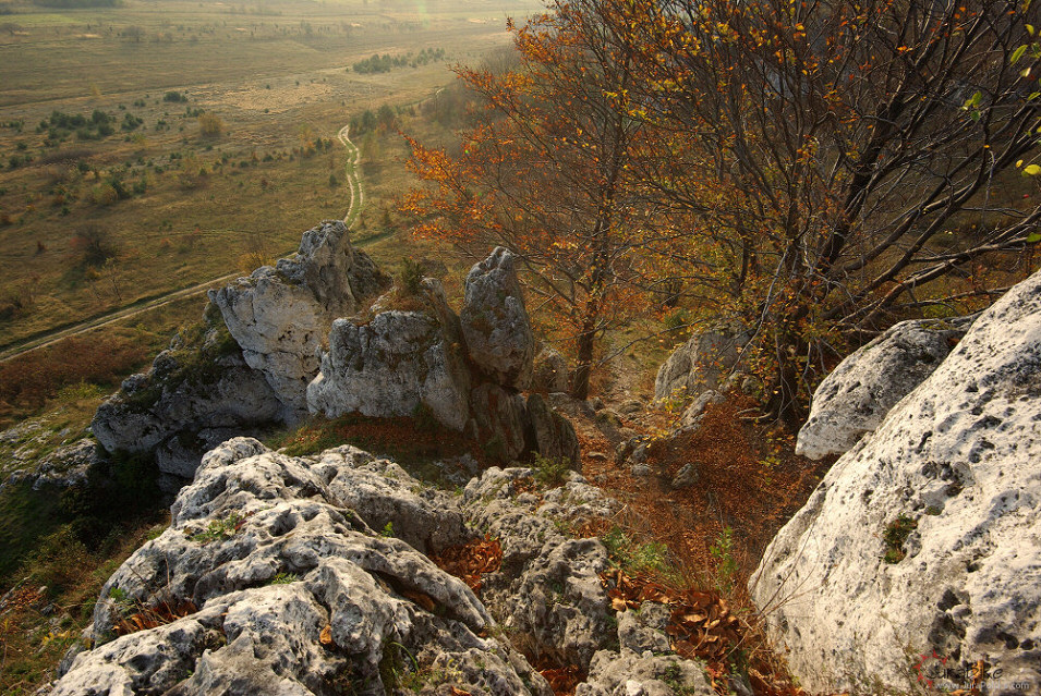 Skaki Rzdkowickie