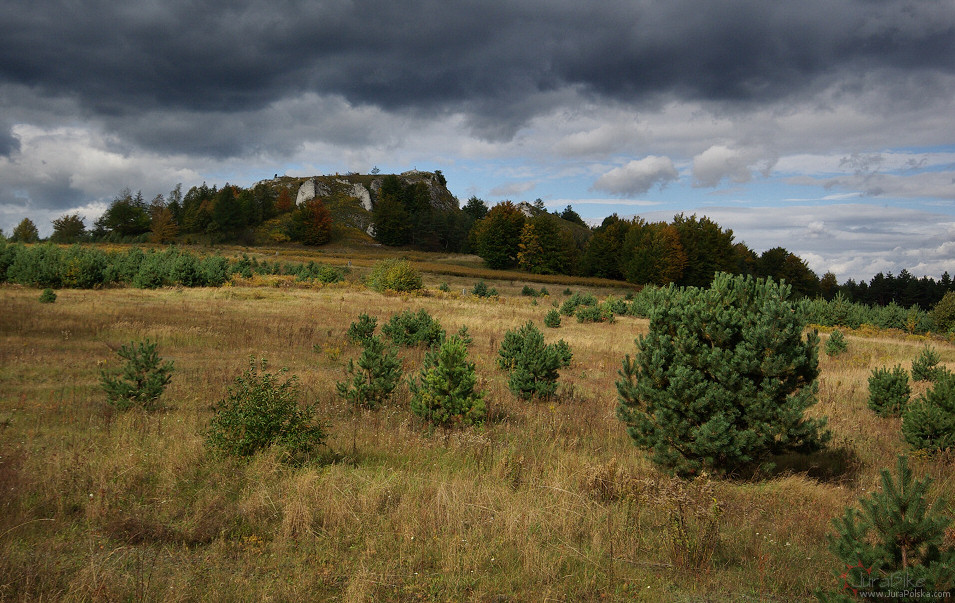 Wielki Grochowiec, Ryczw