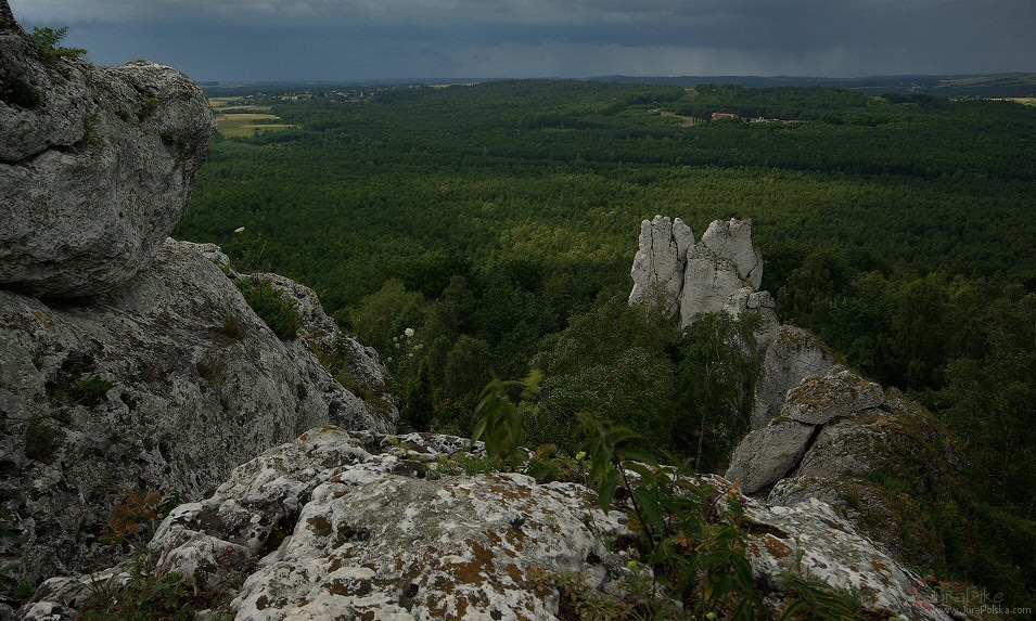 Kooczek, Skaki Kroczyckie, Podlesice