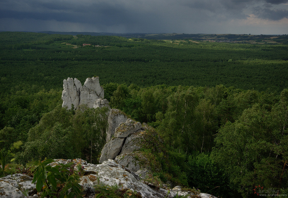 Kooczek, Skaki Kroczyckie, Podlesice