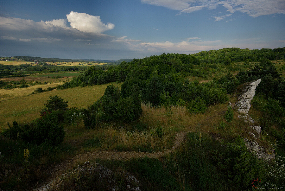 Skaki Rzdkowickie