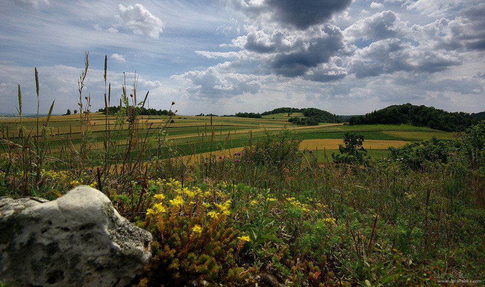 Dolina Wodca, Smole/Strzegowa