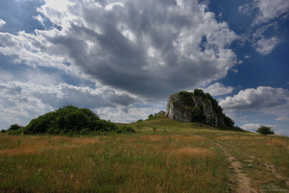 Skaa Rzdowa, Bzw