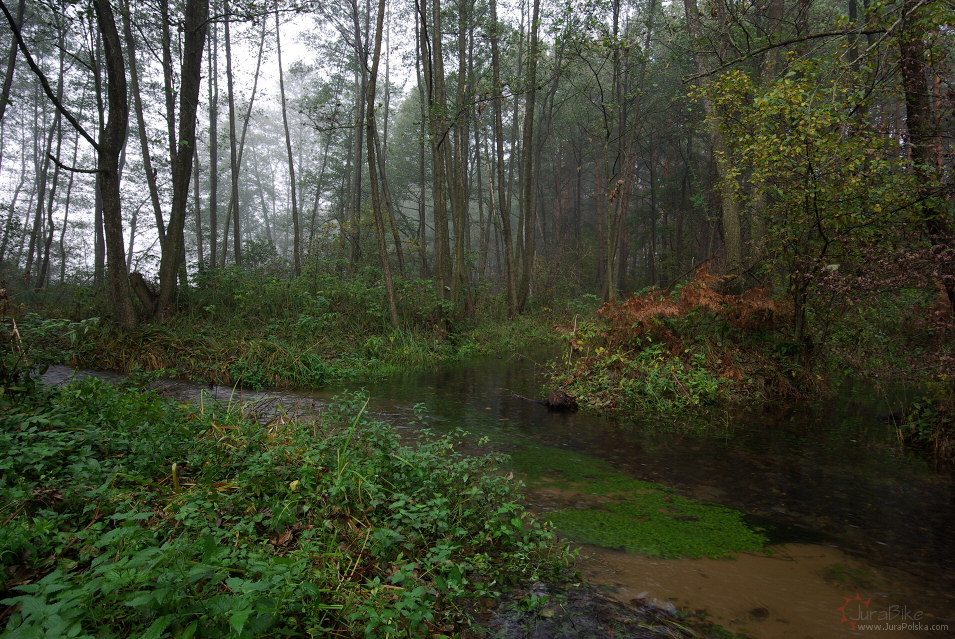 Biaka Zdowska, Kostkowice