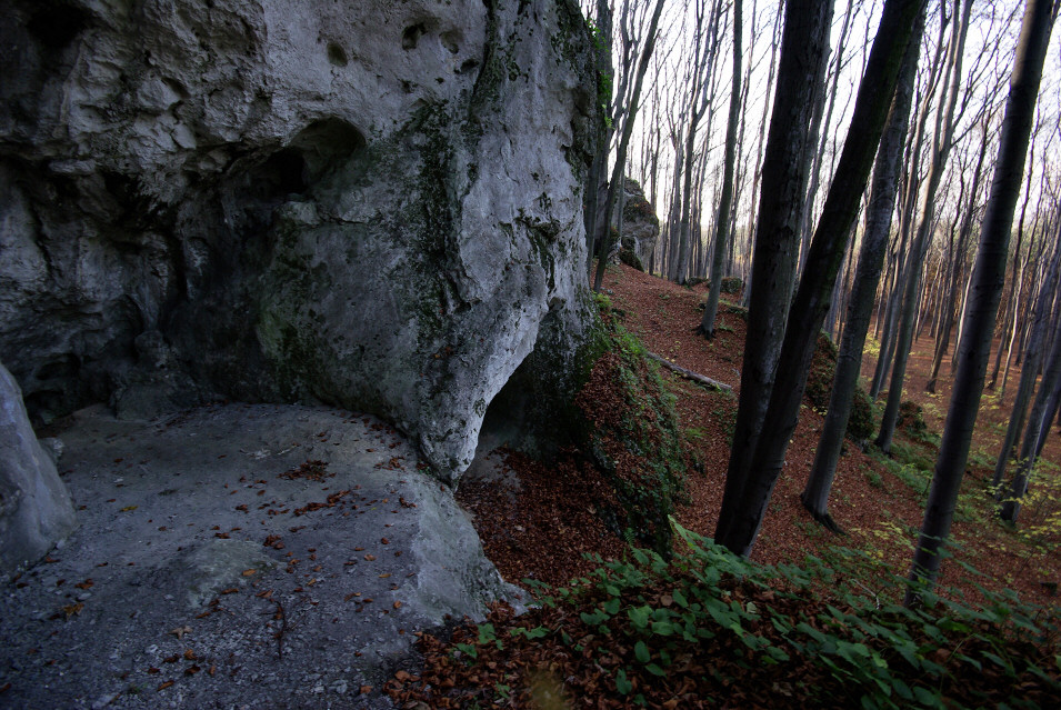 rez. Ruskie Gry, Ryczw