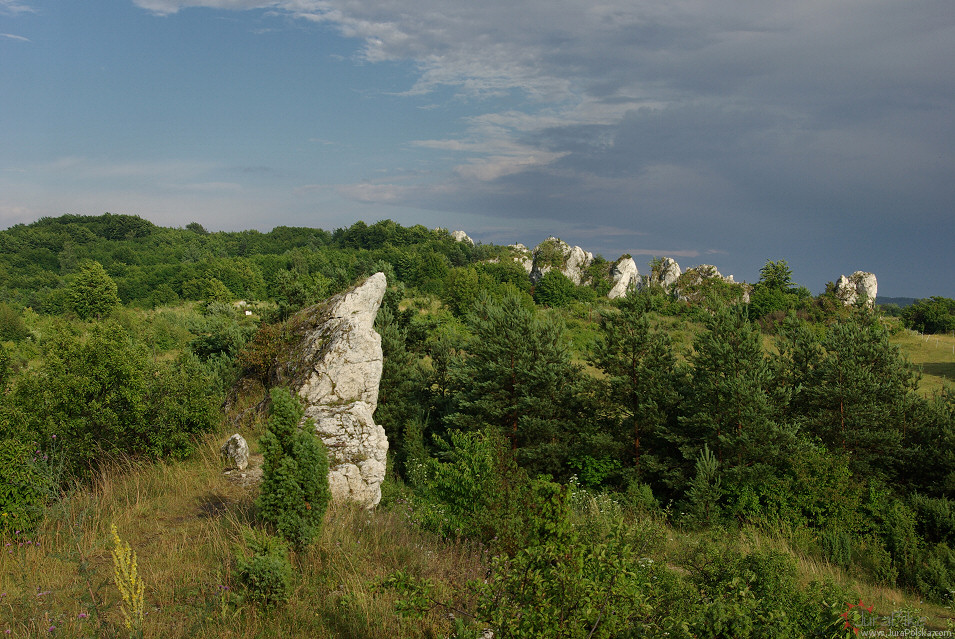 Skaki Rzdkowickie