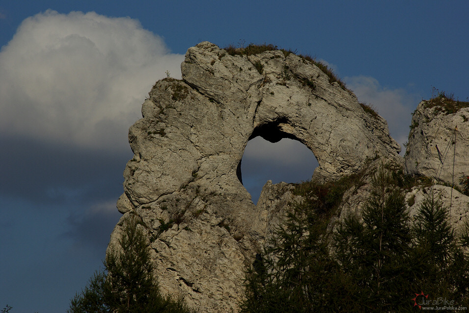 Okiennik Wielki, Skaryce