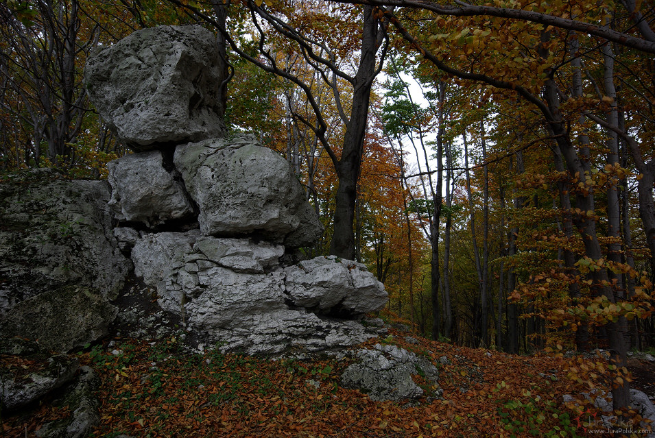 Skaki Rzdkowickie