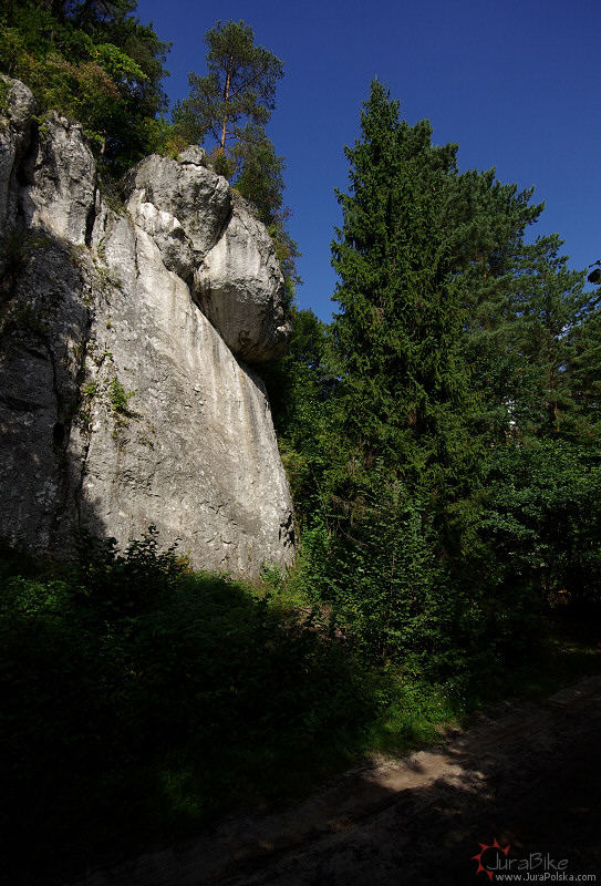 Brzuchacka Skaa, Ryczw