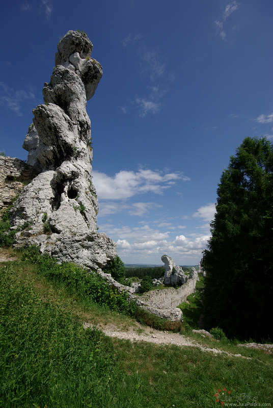 Gra Janowskiego, Podzamcze