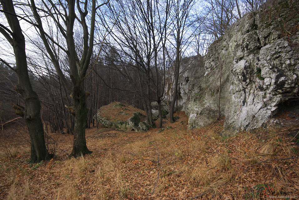 Bukowe Skay, okolice Podlesic