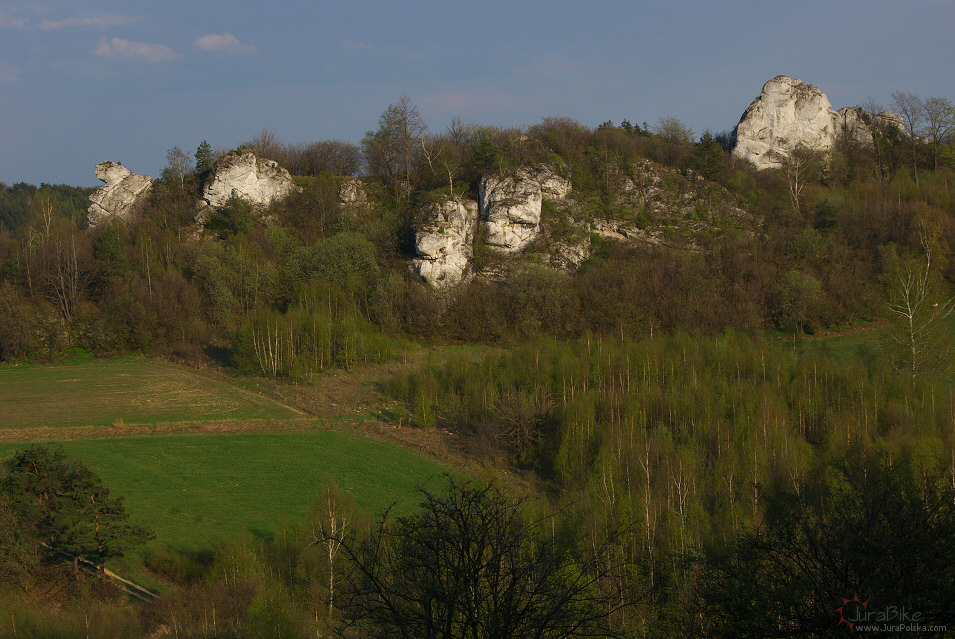 Krzywo, Dolina Wodca