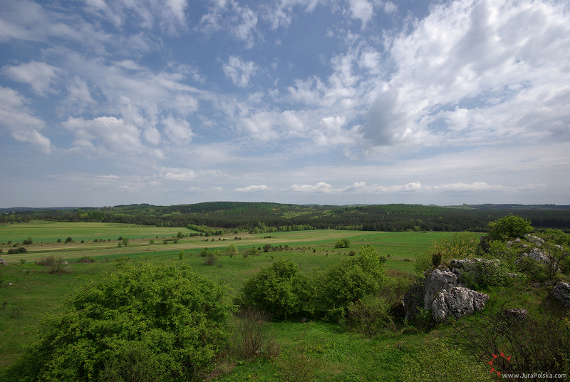 Wzgrze Kamien, Okolice Przybynowa-Jaroszowa