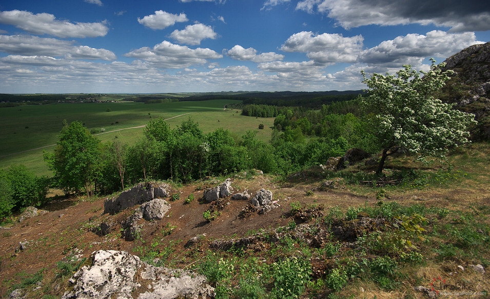 Gra Janowskiego, Podzamcze