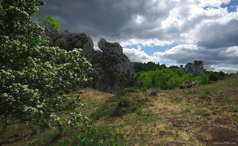 Gra Janowskiego, Podzamcze