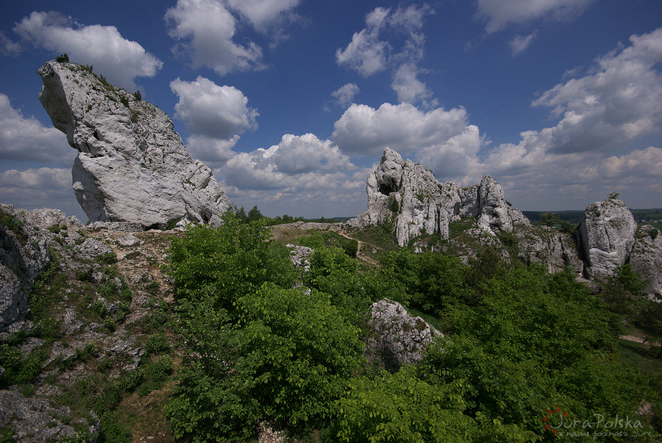 Gra Janowskiego, Podzamcze