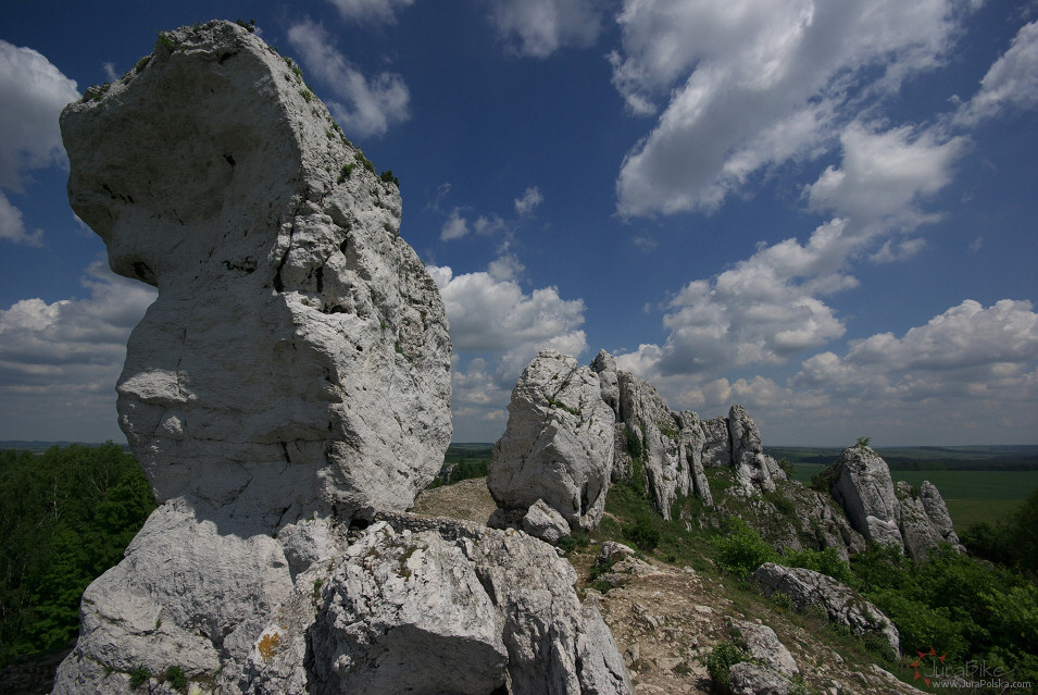 Gra Janowskiego, Podzamcze