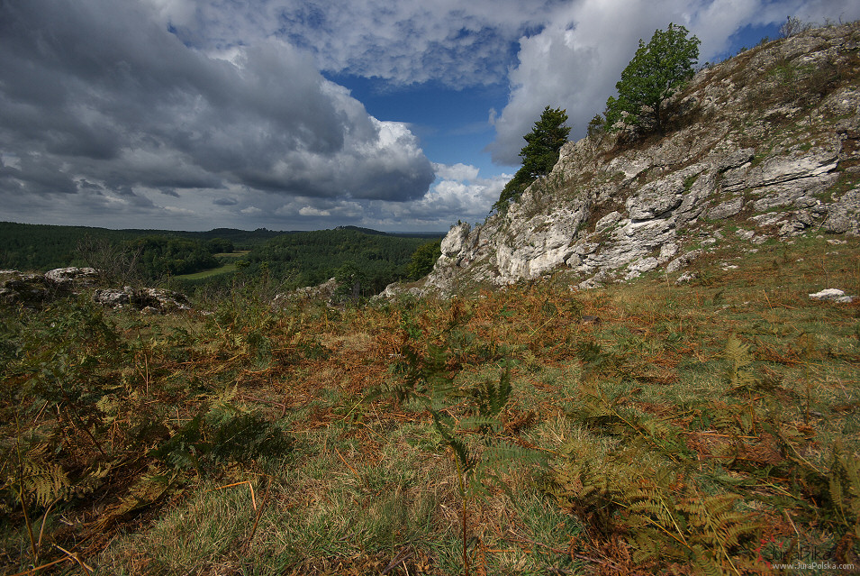 rez. Gra Zborw, Kroczyce