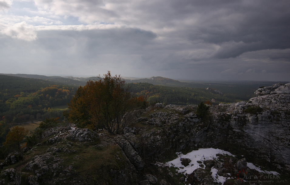 rez. Gra Zborw, Podlesice