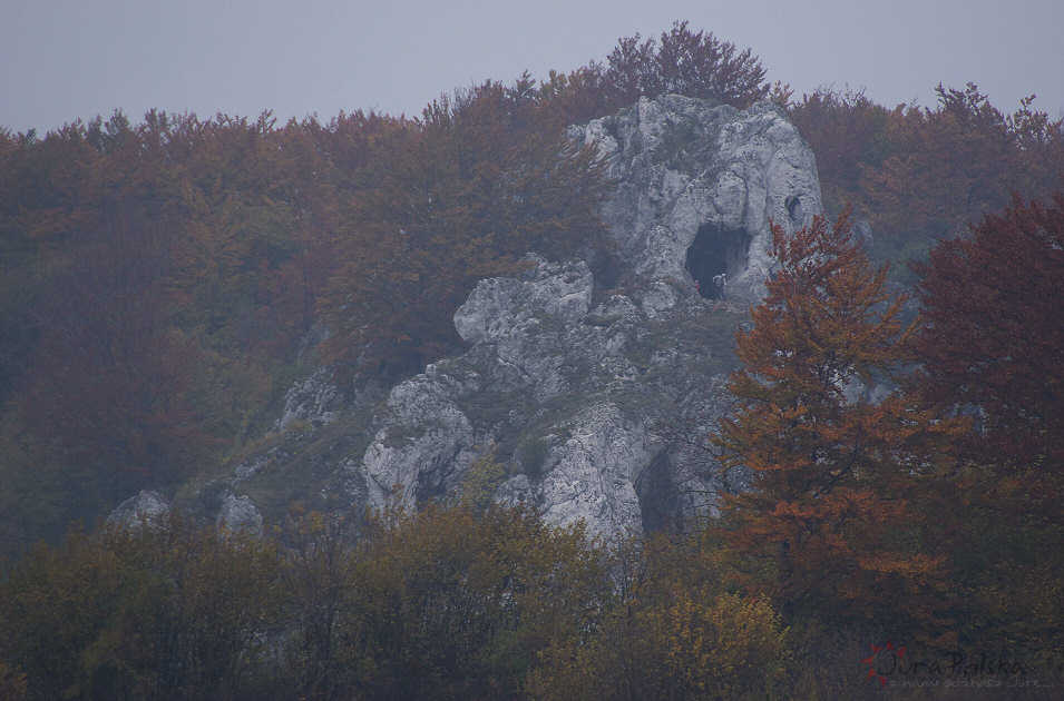 Okiennik Rzdkowicki, Rzdkowice