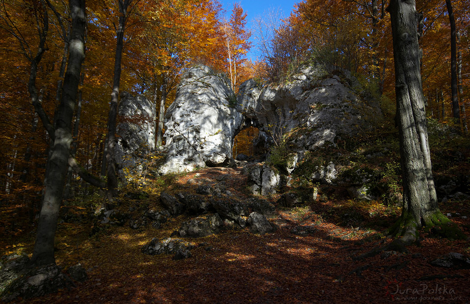 Brama Twardowskiego, Dolina Wiercicy