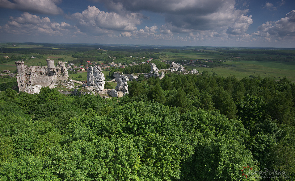 Zamek Ogrodzieniec