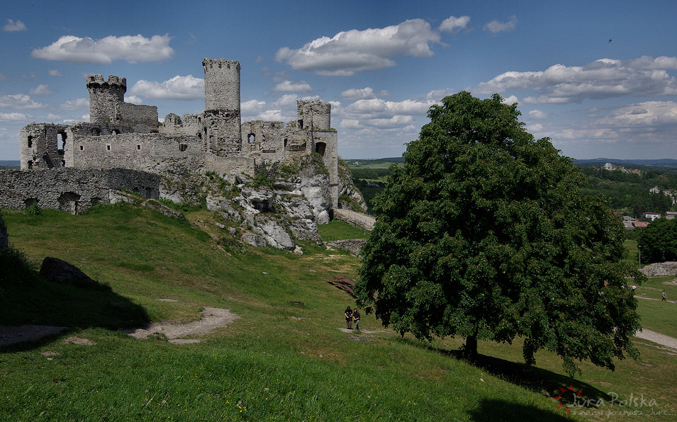 Zamek Ogrodzieniec