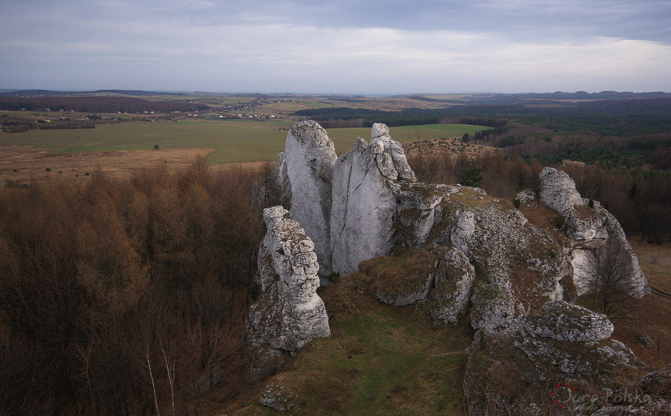 Cimy, Gra Janowskiego, Podzamcze