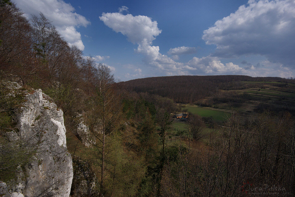 Rezerwat Bukowa Kpa, Bystrzanowice Dwr