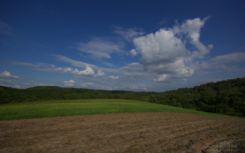 Pola na wierzchowinie nad Dolin Racawki