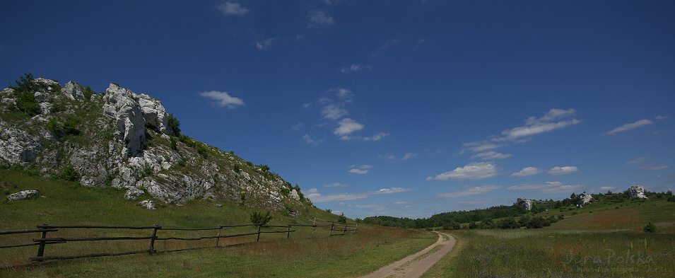 Wzgrze Zamkowe i Cegielnia, Olsztyn k/Cz-wy