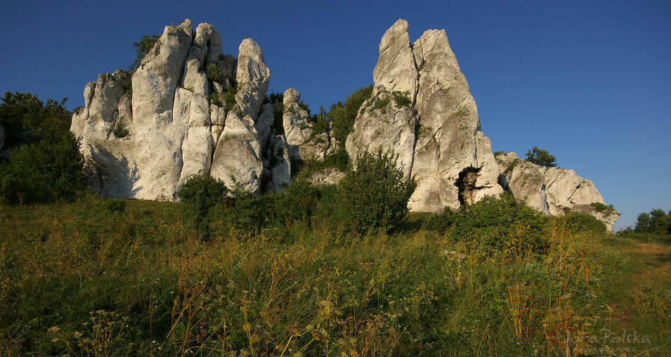 Skaki Rzdkowickie