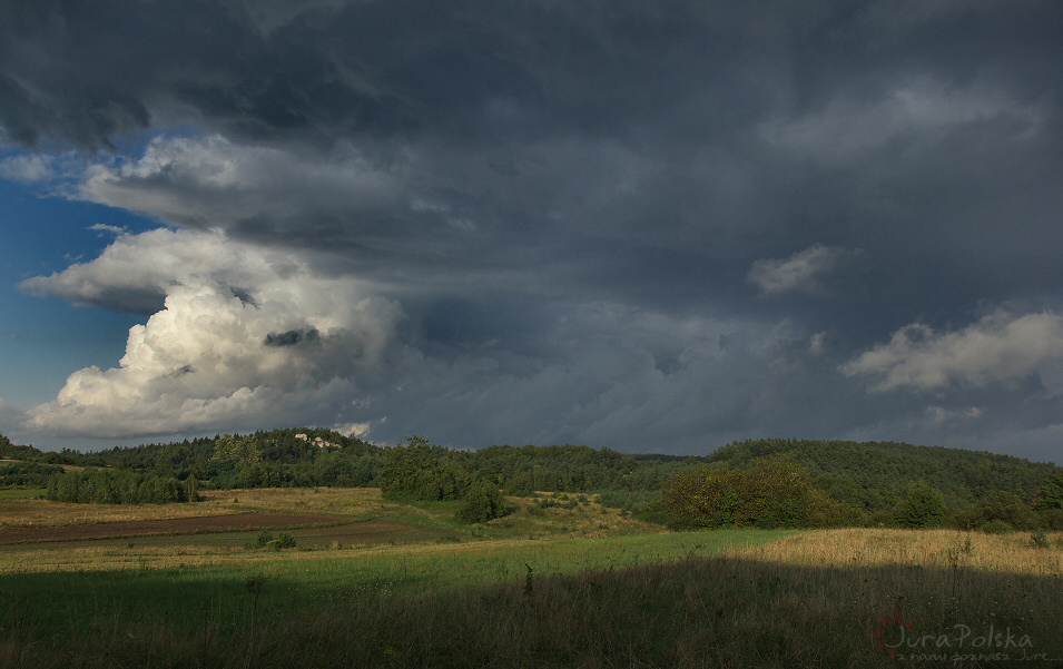 Wilczy Kamie, Rzdkowice