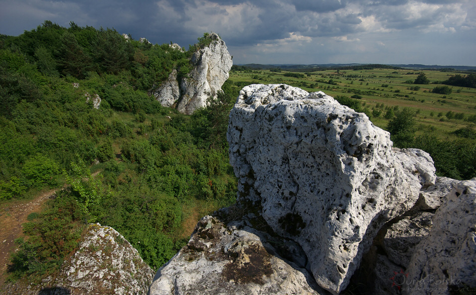 Skaki Rzdkowickie