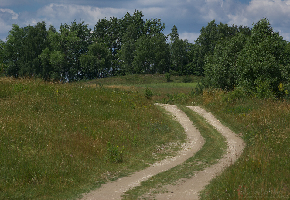 Polna droga, Ryczw