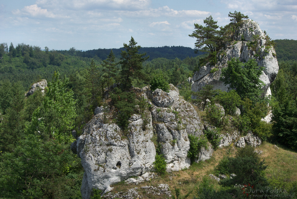 Straszykowe Skay, Ryczw